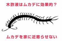木酢液はムカデに効果的？ムカデを家に近寄らせないようにしよう！