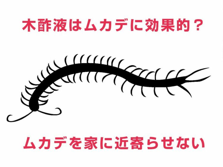 木酢液はムカデに効果的?ムカデを家に近寄らせないようにしよう!