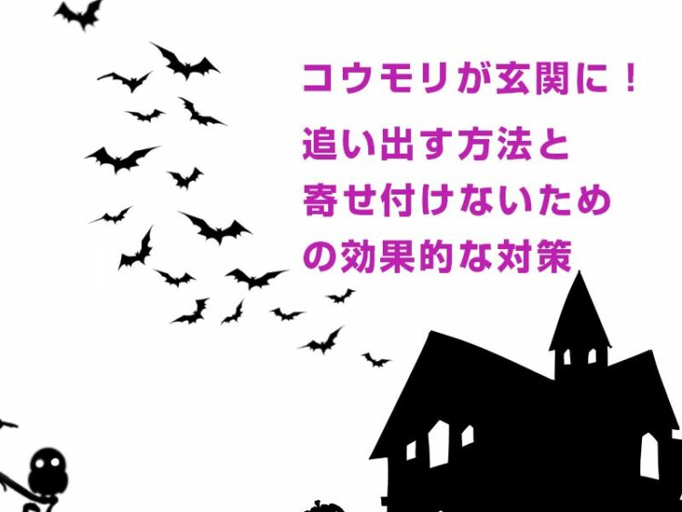 コウモリが玄関に!追い出す方法と寄せ付けないための効果的な対策