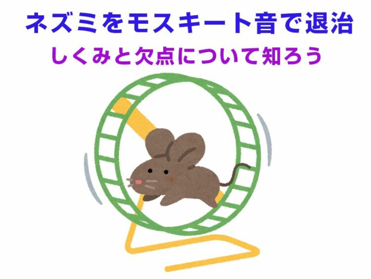 ネズミをモスキート音で退治!?そのしくみと欠点について知ろう!