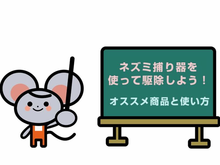 ネズミ捕り器を使って駆除しよう!オススメ商品と使い方のコツを伝授