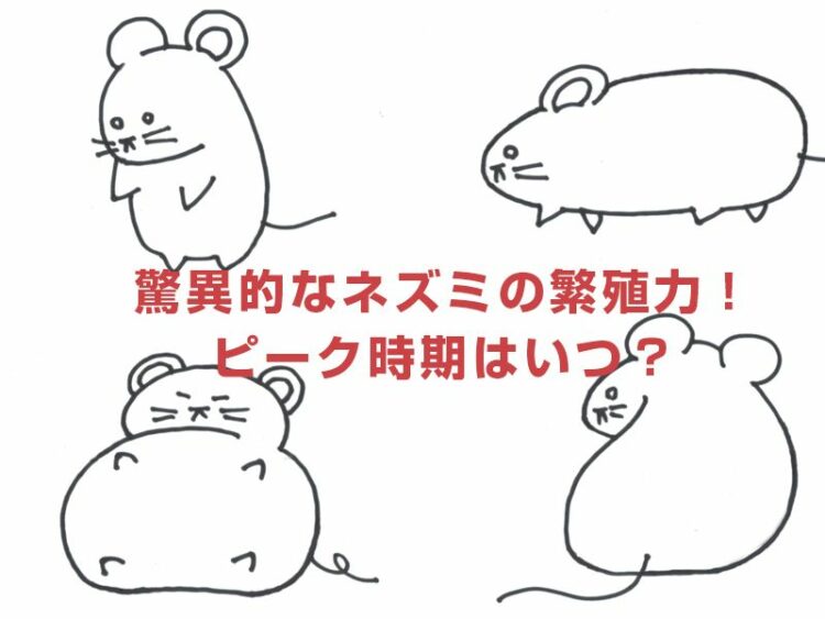 驚異的なネズミの繁殖力!ピーク時期はいつ?被害の拡大を防ぐには