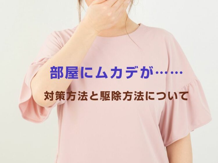 部屋にムカデが……対策方法と駆除方法についてご紹介します!