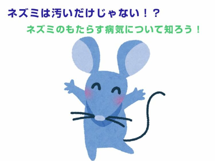 ネズミは汚いだけじゃない!?ネズミのもたらす病気について知ろう!