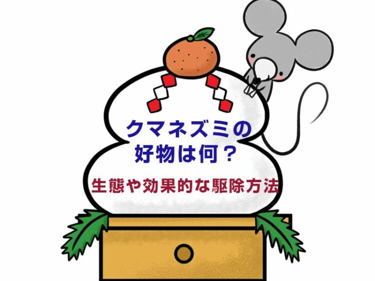 クマネズミの好物は何?クマネズミの生態や効果的な駆除方法を解説!