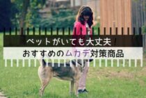 ペットがいても大丈夫！おすすめのムカデ対策商品を紹介します！