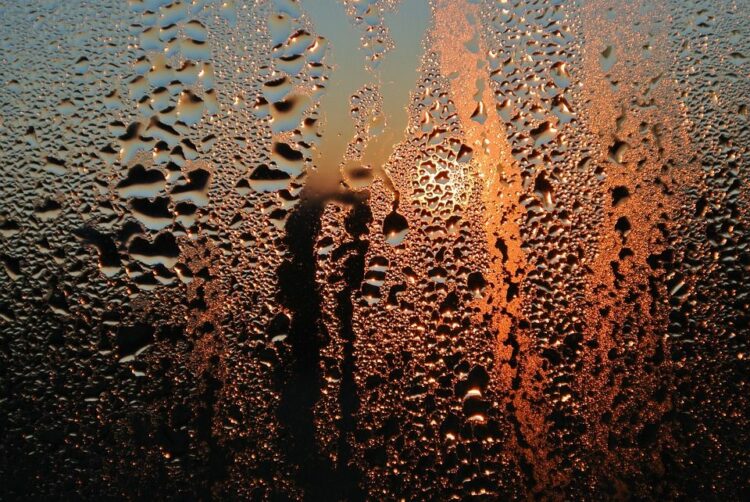 放置は危険!結露の及ぼす悪影響