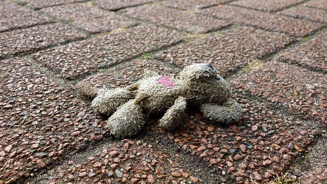 クマネズミの好物を利用して駆除しよう