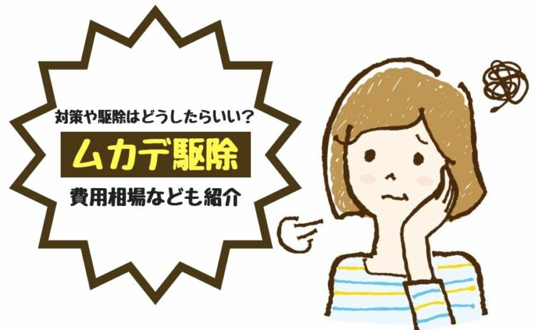 ムカデ対策や駆除はどうしたらいい?ムカデ駆除の費用相場なども紹介