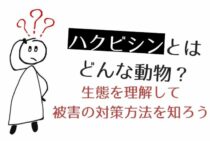 ハクビシンとはどんな被害を与える害獣？生態を知って徹底的に駆除しよう