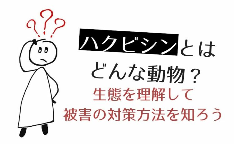 ハクビシンとはどんな動物?生態を理解して被害の対策方法を知ろう