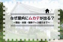 なぜ屋内にムカデが出る？～理由・対策・駆除グッズ紹介まで～