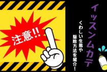 イッスンムカデは危険？くわしい生態や駆除方法を紹介！