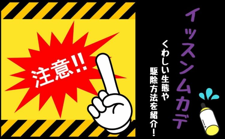 イッスンムカデは危険?くわしい生態や駆除方法を紹介!