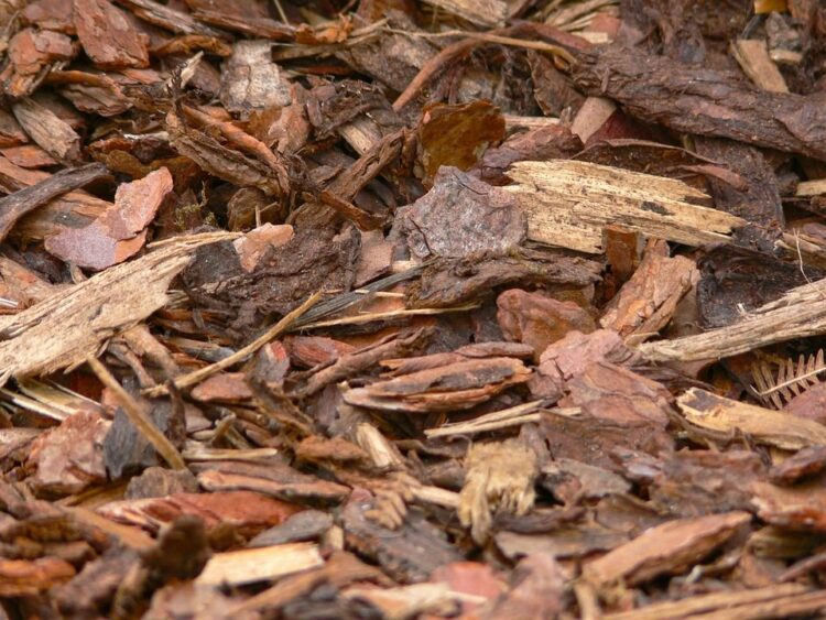 木くずの処分は注意！産業廃棄物になるかも