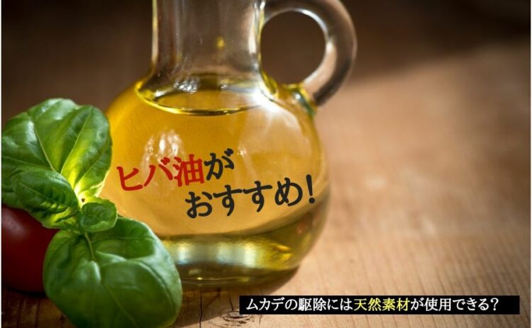 ムカデの駆除には天然素材が使用できる?ムカデにはヒバ油がおすすめ!