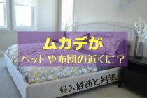 ムカデがベッドや布団の近くにいる？ムカデの侵入経路と対策を紹介