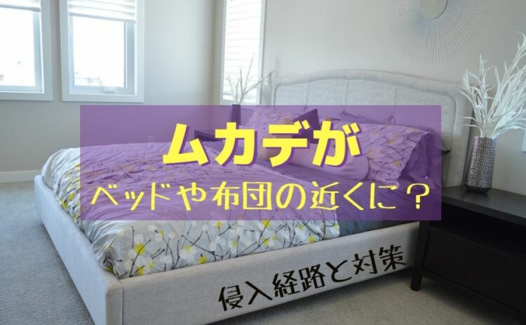 ムカデがベッドや布団の近くにいる？ムカデの侵入経路と対策を紹介