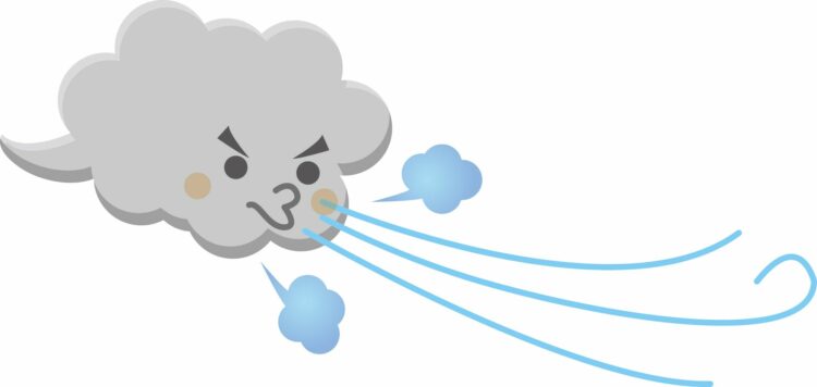 火災保険の風災とは?申請例はどんな被害があるのか