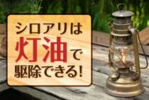 シロアリを灯油で駆除するなら慎重に！業者に退治してもらう4つのメリット