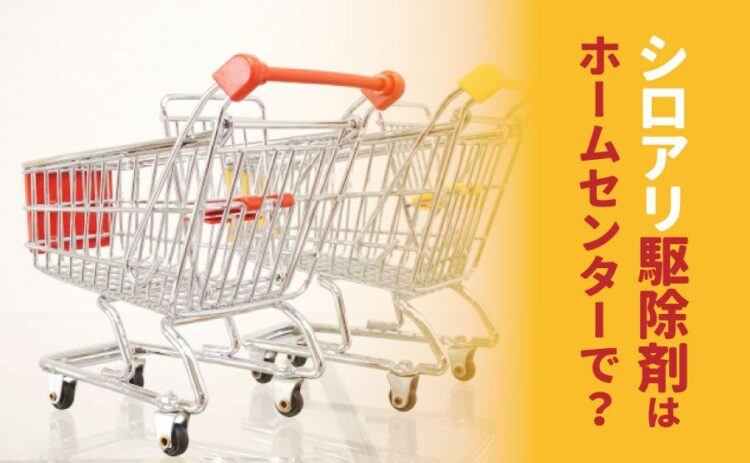 シロアリ駆除剤はホームセンターで購入可能？種類や成分などをご紹介