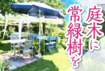 1年中緑が楽しめる庭木に常緑樹を！選ぶポイントとお手入れ方法は？