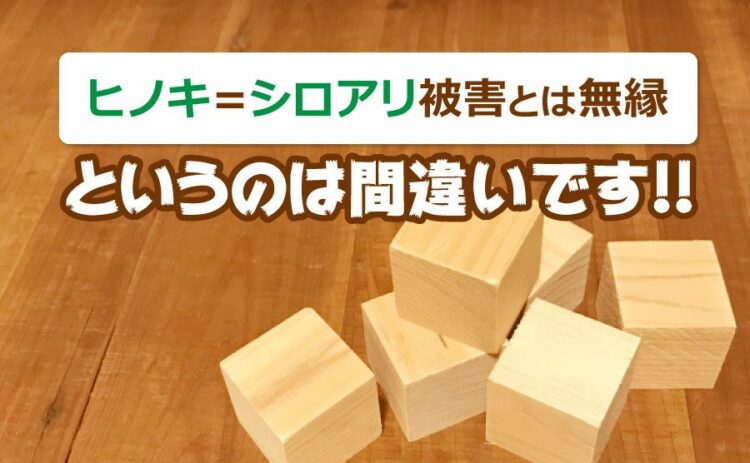 ヒノキ=シロアリ被害とは無縁というのは間違い!しっかり予防を