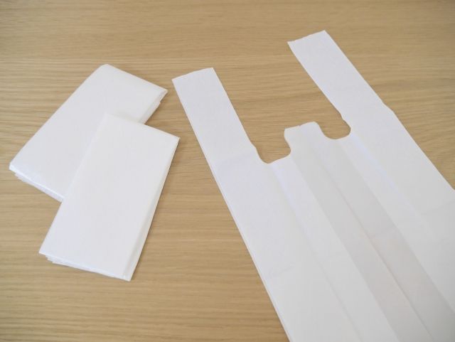 家で羽アリが発生している場合