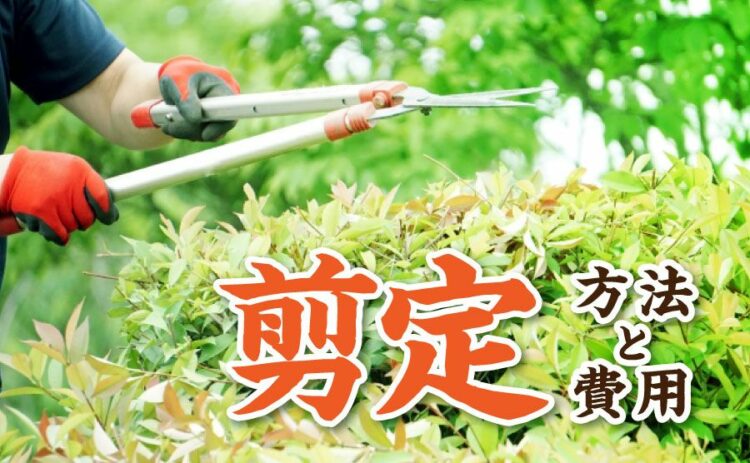 剪定とは「枝木を切って整えること」剪定する方法や費用もご紹介!