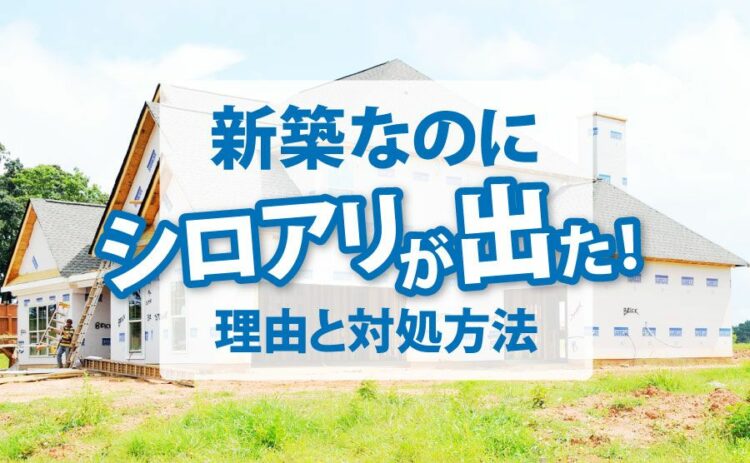 新築なのにシロアリが出た！気になる理由と対処方法についてご紹介