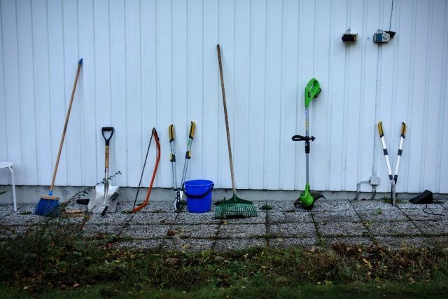 庭木にシロアリを発生させないためにできること