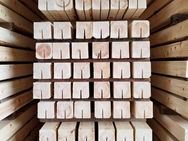 ヒノキの芯材はシロアリに対策として一定の効果を見込める