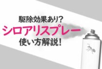 知って得する！シロアリ用スプレーの効果とメリット・デメリット