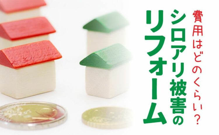 シロアリ被害のリフォーム費用はどのくらい？駆除費用についても解説