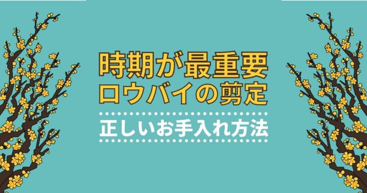 ロウバイの剪定で重要なのは時期!栽培に欠かせない正しい手入れ方法