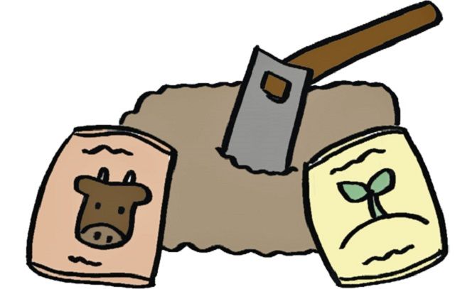 ハマヒサカキの詳しい育て方