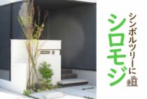 シロモジはシンボルツリーにぴったり！育て方を知って庭に植えよう
