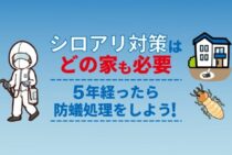 防蟻処理とは？シロアリ対策の必要性とかかる費用の相場をご紹介