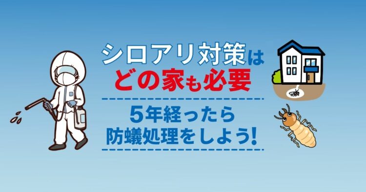 防蟻処理とは？シロアリ対策の必要性とかかる費用の相場をご紹介