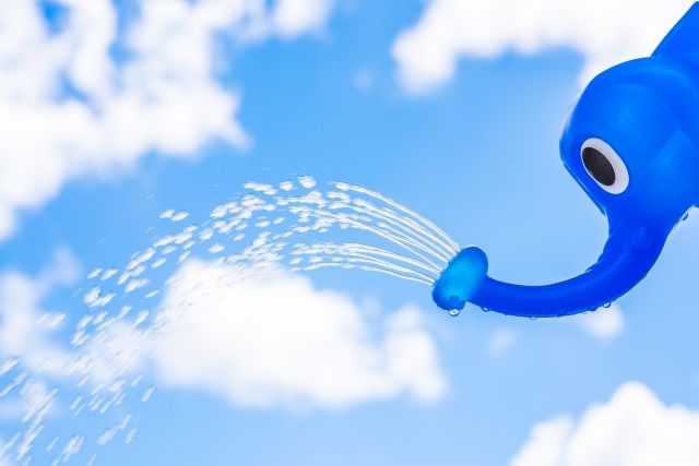レイランドヒノキは日本の気候に合った育てやすい樹