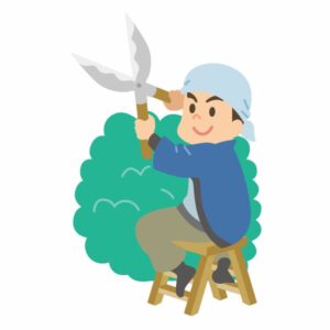ラインゴールドの剪定