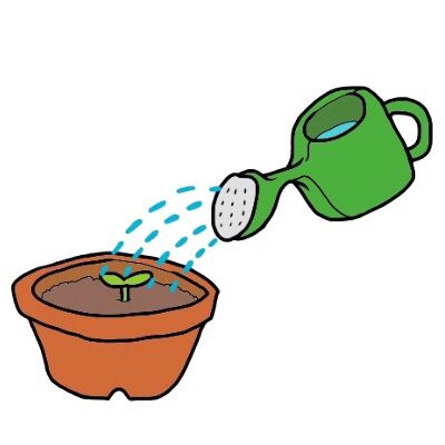ラインゴールドの育て方