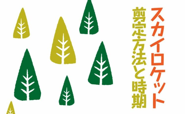 背が高すぎるスカイロケットを剪定しよう！その方法や時期を紹介