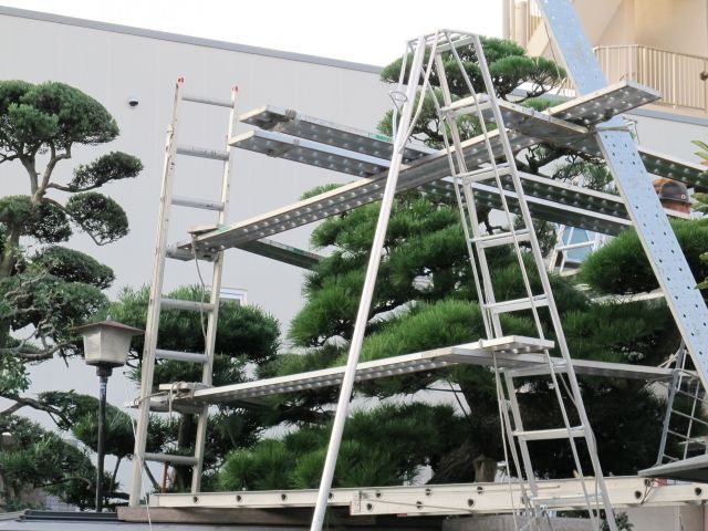 イヌマキで生垣を作ろう！おすすめの作り方やコツをまとめて解説！