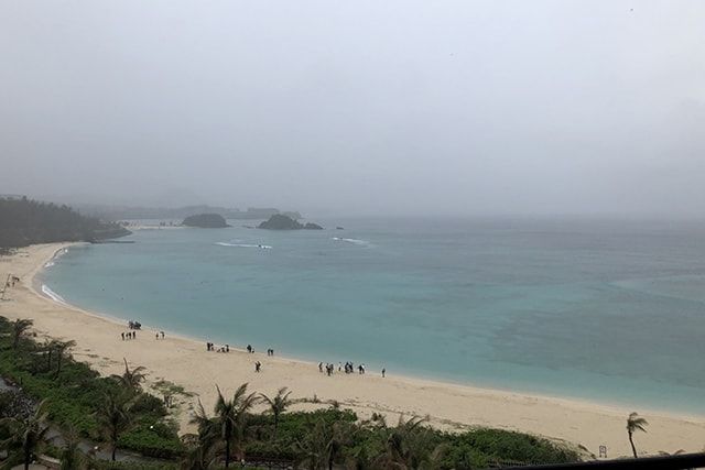 沖縄でシロアリ対策をしっかりしておかなければいけないワケ