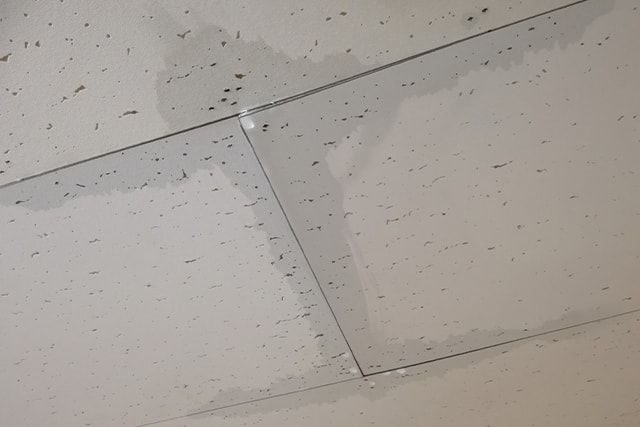 沖縄の家でしておくべきシロアリ対策3つ