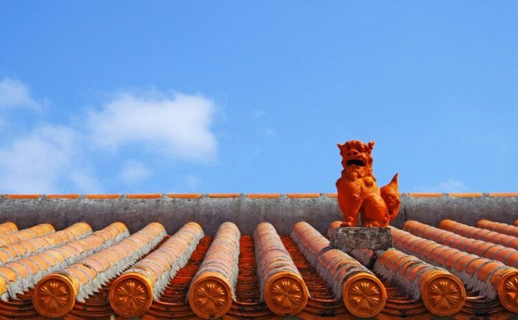 沖縄でのシロアリ対策はしっかりしておこう！その方法と必要な理由