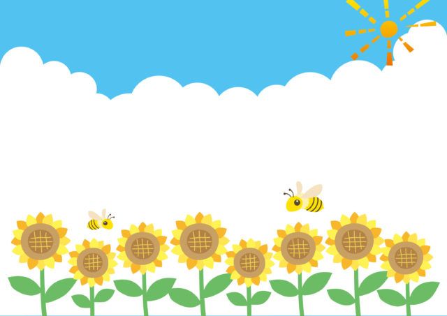 ハチ駆除　豊橋