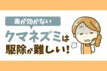 クマネズミの特徴や習性を知って駆除対策！害虫被害との関連性も紹介
