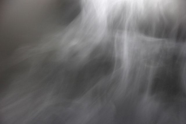 要注意！ネズミは煙で“駆除“はできない！？